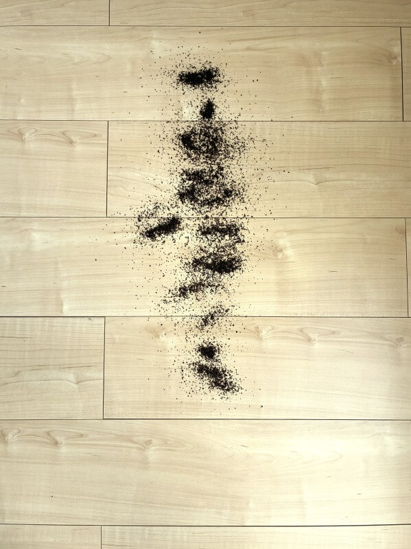 X1 Air の吸引力テスト１（フローリングにコーヒー粉）