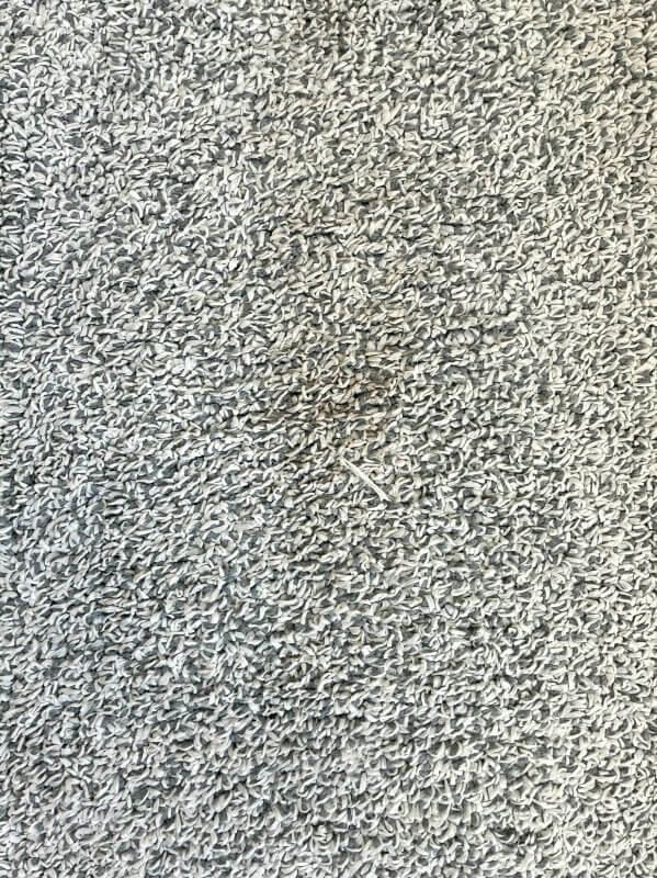 X1 Airの吸引力テスト２（カーペットにコーヒー粉）の結果