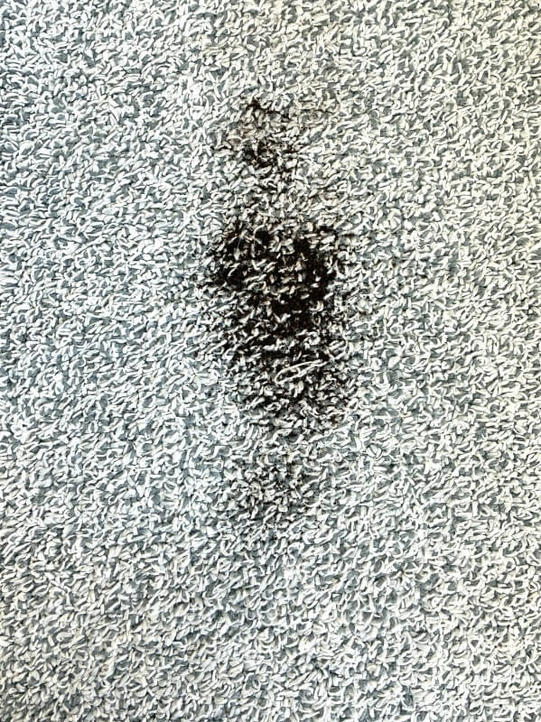 X1 Slimの吸引力テスト２（カーペットにコーヒー粉）